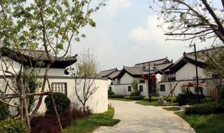 春风十里报新年下一句 春风十里报新年原唱