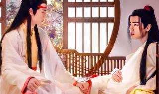 魔尊和仙尊的故事 魔尊怀了仙尊的孩子